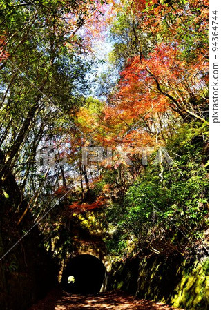 福知山線廢棄鐵路線和向川谷秋葉 福知山線廢棄鐵路線和向川谷秋葉 94364744
