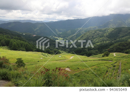 照片拍攝於兵庫縣八幡山 照片拍攝於兵庫縣八幡山 94365049