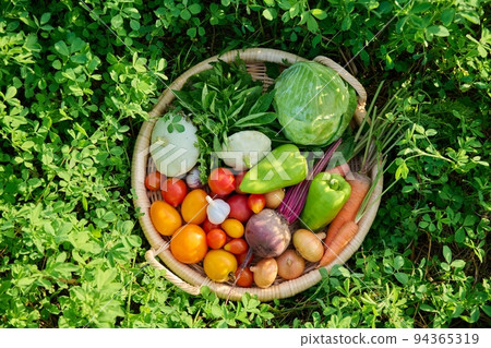 Top view of basket with many different vegetables herbs Top view of basket with many different vegetables herbs 94365319