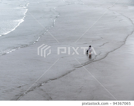 A girl walks with dog, shore. The owner and his pet are walking on the waves. A girl walks with dog, shore. The owner and his pet are walking on the waves. 94367065