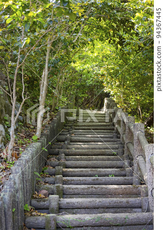 通往白岳展望台的道路 通往白岳展望台的道路 94367445