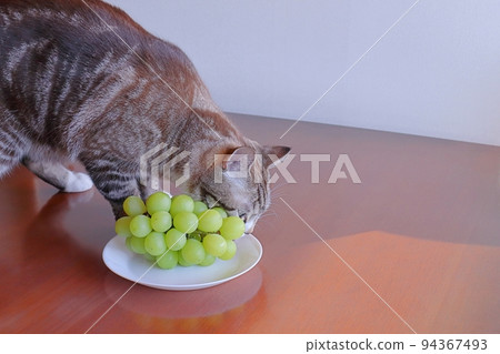 Are grapes clearance dangerous for cats