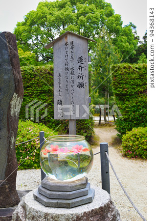 京都隨心院蓮瓣祈願 94368143