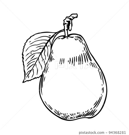 Pear Ink sketch Pear Ink sketch 94368281