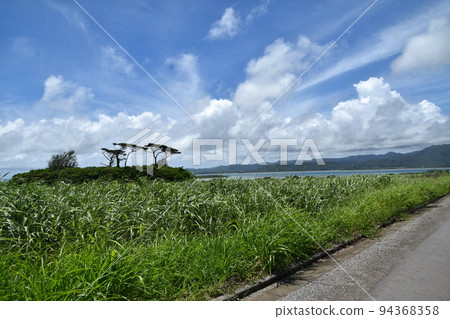 Kohama Island Uminchu Park 94368358