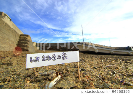 A fiddler crab emerging from its burrow 94368395