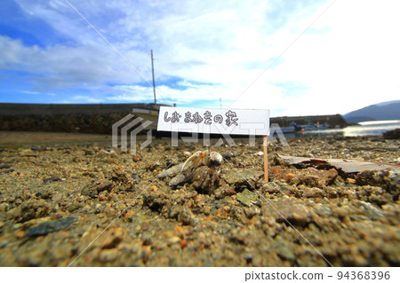 A fiddler crab removing mud from its burrow A fiddler crab removing mud from its burrow 94368396