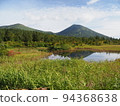 Water lily field 94368638