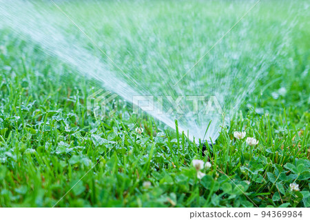 Lawn water sprinkler spraying water over lawn green fresh grass. Automatic watering equipment, lawn maintenance. 94369984