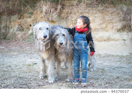 女孩和愛爾蘭獵狼犬 94370037