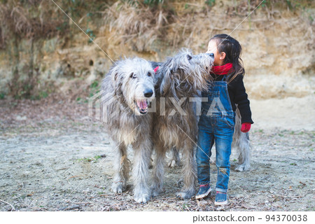 girl and irish wolfhound 94370038