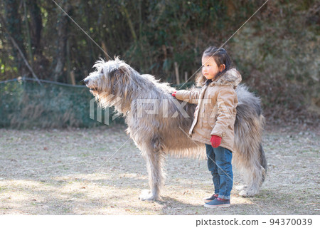 girl and irish wolfhound 94370039