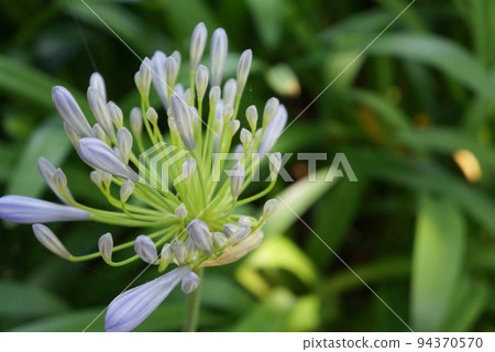 與鮮花合影 與鮮花合影 94370570