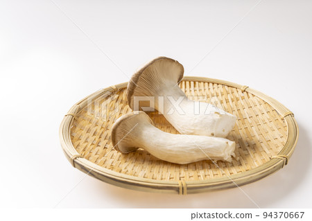 king oyster mushroom king oyster mushroom 94370667