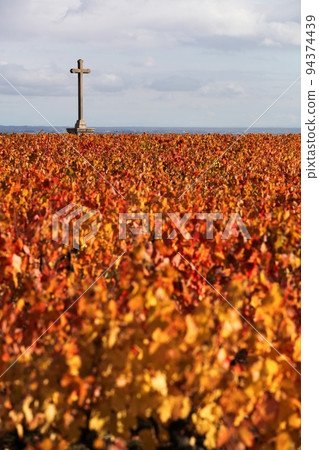 Vineyards in Morgon with a christian cross, Beaujolais during the autumn season, France  94374439