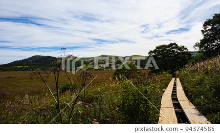 Autumn leaves of Yashima Marsh Autumn leaves of Yashima Marsh 94374585