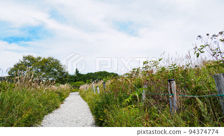 Autumn leaves of Yashima Marsh Autumn leaves of Yashima Marsh 94374774