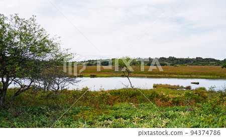 Autumn leaves of Yashima Marsh 94374786