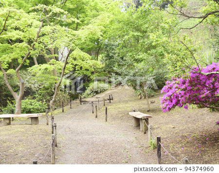 Sankeien Sankeien 94374960