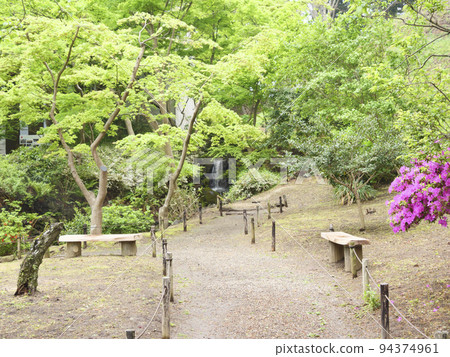 Sankeien Sankeien 94374961