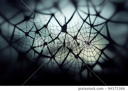 cobweb background, The scary of the Halloween cobweb background, The scary of the Halloween 94375366
