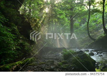 Monkey Bottle Falls Monkey Bottle Falls 94375754