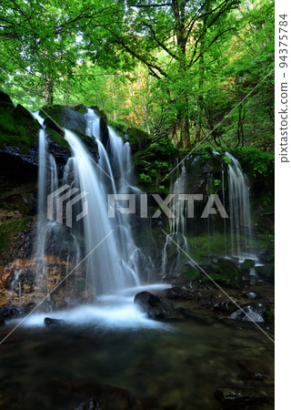 Monkey Bottle Falls 94375784