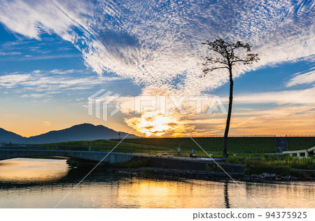 Rikuzentakata Miracle Pine Morning view Rikuzentakata Miracle Pine Morning view 94375925