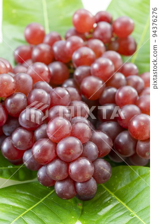 新鮮美味的特拉華葡萄 94376276