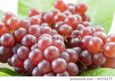 新鮮美味的特拉華葡萄 新鮮美味的特拉華葡萄 94376277