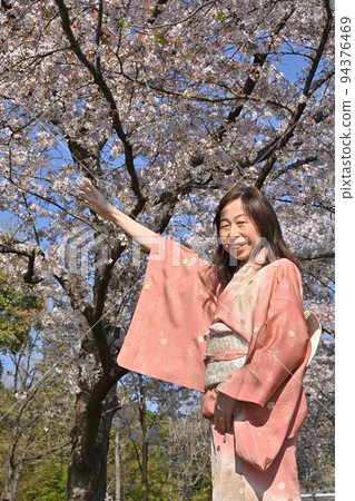 Cherry blossoms and kimono women Cherry blossoms and kimono women 94376469