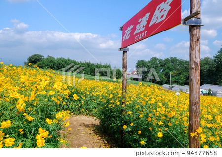 Flower maze entrance Flower maze entrance 94377658