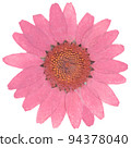 粉紅色的壓花瑪格麗特 94378040