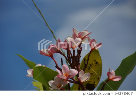 Guam Guam 94378467