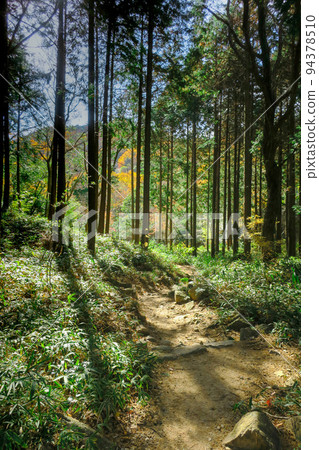 兵庫·神戶秋季六甲山脈河童橋登山路線 94378510