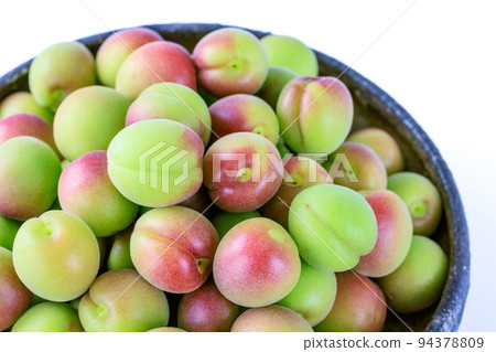 紀州 Koume 和歌山 Minabe 未成熟的李子 紀州 Koume 和歌山 Minabe 未成熟的李子 94378809