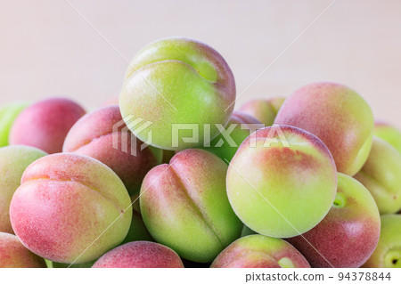 紀州 Koume 和歌山 Minabe 未成熟的李子 紀州 Koume 和歌山 Minabe 未成熟的李子 94378844