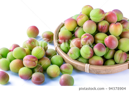 紀州 Koume 和歌山 Minabe 未成熟的李子 紀州 Koume 和歌山 Minabe 未成熟的李子 94378904