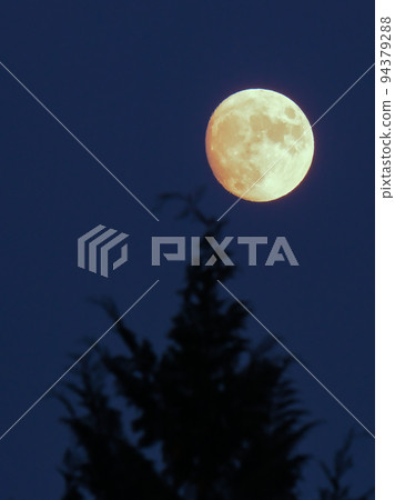 月亮從森林裡出來(垂直右) 月亮從森林裡出來(垂直右) 94379288