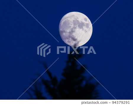 月亮從樹林裡出來 94379291