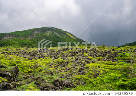 北八岳 / 壺庭自然公園 熔岩高原和山脈 北八岳 / 壺庭自然公園 熔岩高原和山脈 94379579