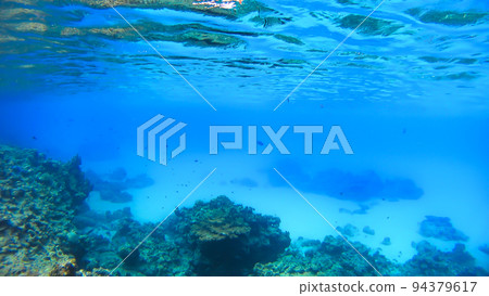 Nishihama Beach underwater photography of Okinawa Akajima Nishihama Beach underwater photography of Okinawa Akajima 94379617