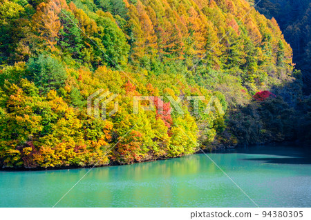 Minowa Dam in Autumn (Momiji Lake) 94380305