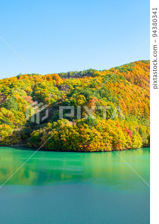 Minowa Dam in Autumn (Momiji Lake) 94380341