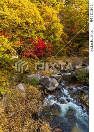 日本最美的山谷山梨甲府的秋景昇仙峽紅葉 94381866