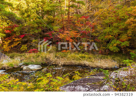 日本最美的山谷山梨甲府的秋景昇仙峽紅葉 94382319