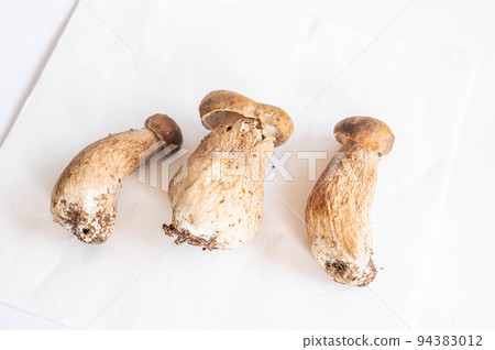 收穫的網狀牛肝菌 94383012
