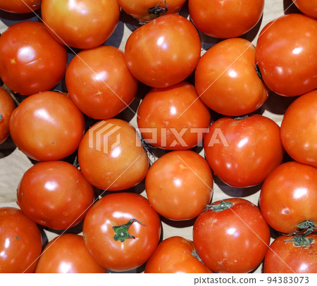 group of sticking raw organic Tomatoes of different, Fresh juicy appetizing tomatoes. Raf tomato, cherry in opened fresh market, Macro Photo spring food group of sticking raw organic Tomatoes of different, Fresh juicy appetizing tomatoes. Raf tomato, cherry in opened fresh market, Macro Photo spring food 94383073