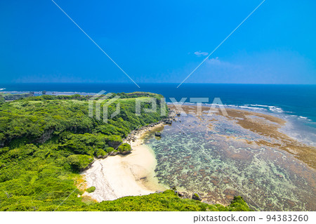 沖繩的水果bunta 沖繩的水果bunta 94383260