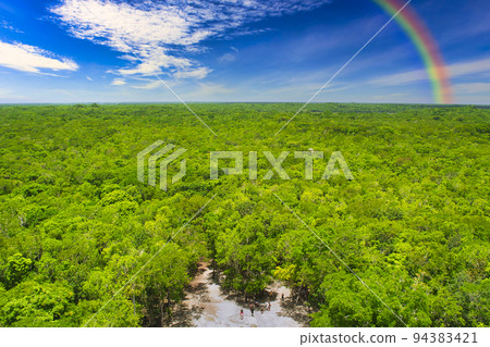 The ruins of the dream of the Mayan civilization, the superb view of the Coba ruins The ruins of the dream of the Mayan civilization, the superb view of the Coba ruins 94383421